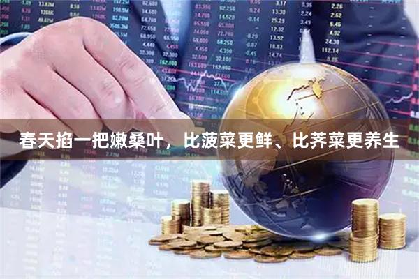 春天掐一把嫩桑叶，比菠菜更鲜、比荠菜更养生